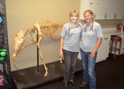 Kaitlen Lawton-Betchel (left) and Kayla McCrone welcomed visitors to their new business, K+K Veterinary Services, located at 377 Hill Street in Lemoore